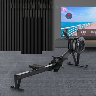 Professional Rowing Machine Gym Equipment Air Rower Cardio Machine Indoor Rowers